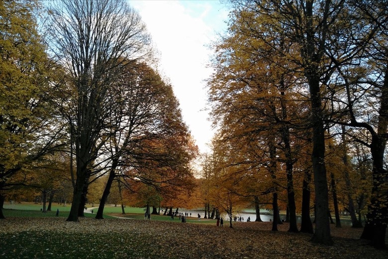 Bois de La Cambre Brussels
