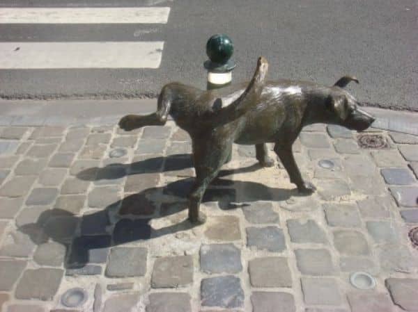 Zinneke Brussels
